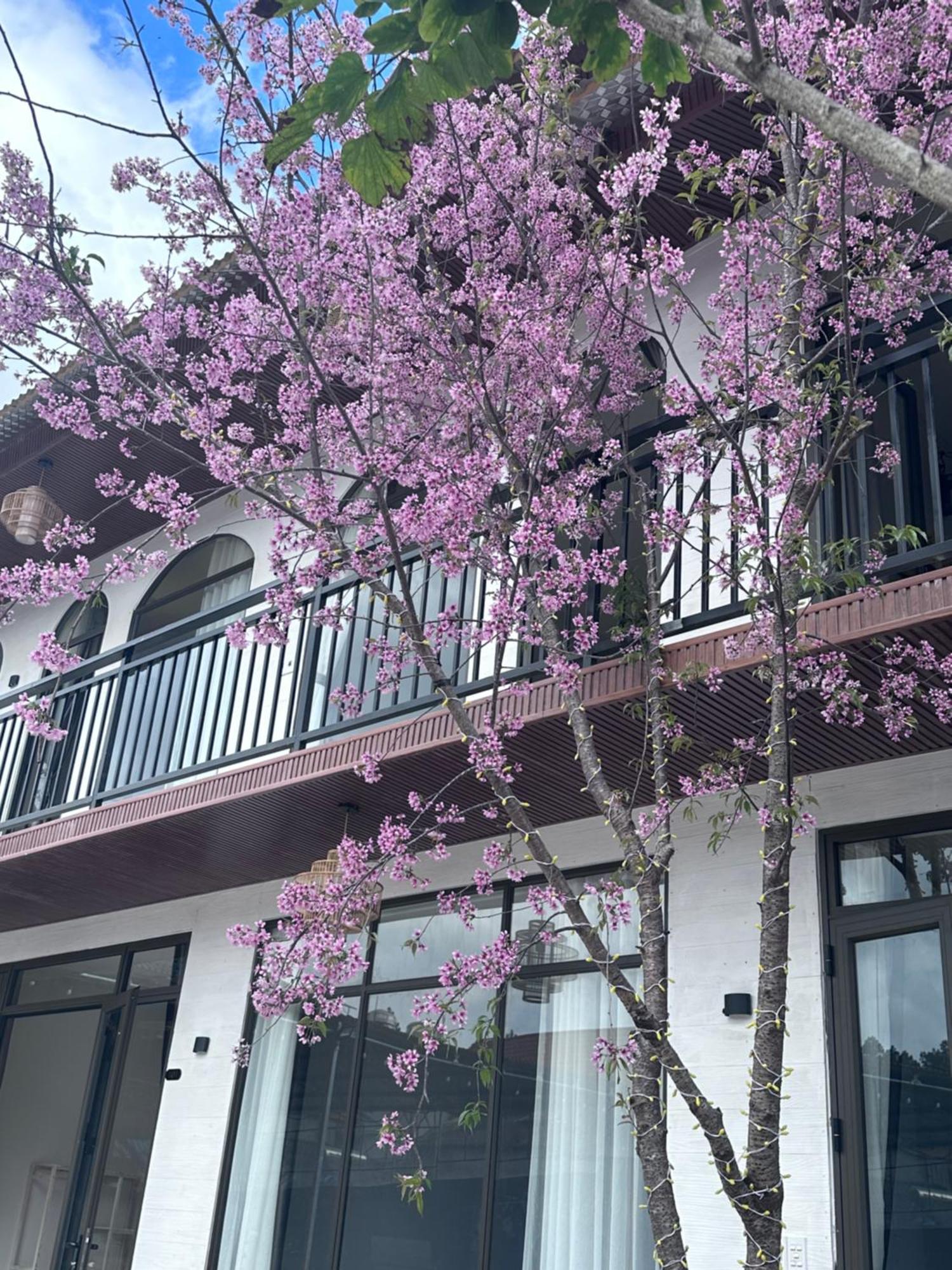 Bin House - Moc Chau Hotell Eksteriør bilde
